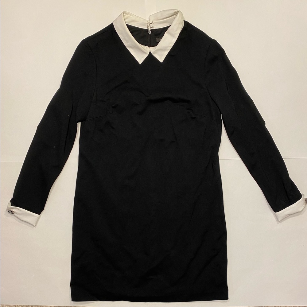 Cynthia Steffe Black Collared Dress (Size 10)